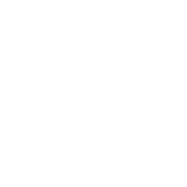 Icons Sonne